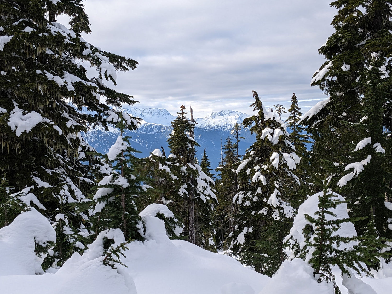 Image of snowy mountains