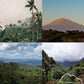 Single Origin Favorites Sample Pack