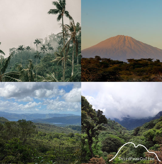 Single Origin Favorites Sample Pack