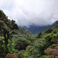 Honduras