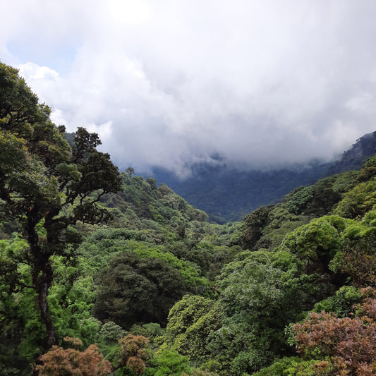 Honduras