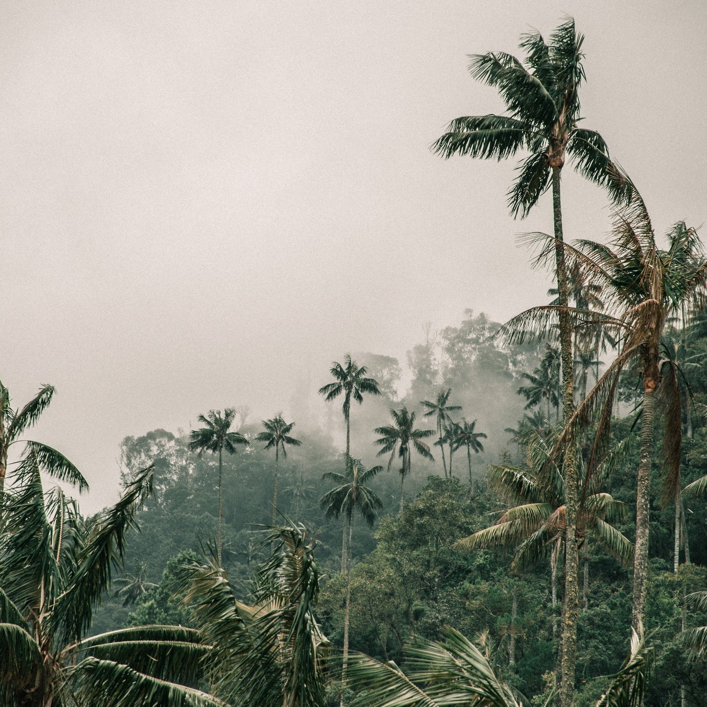 Colombia