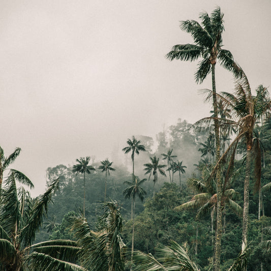 Colombia