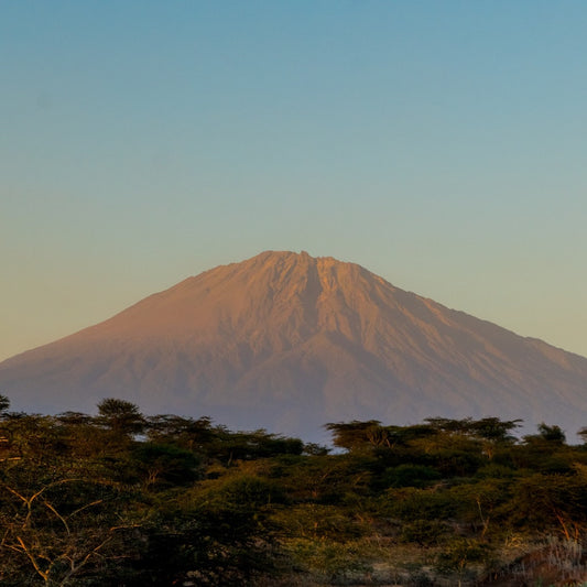 Tanzania